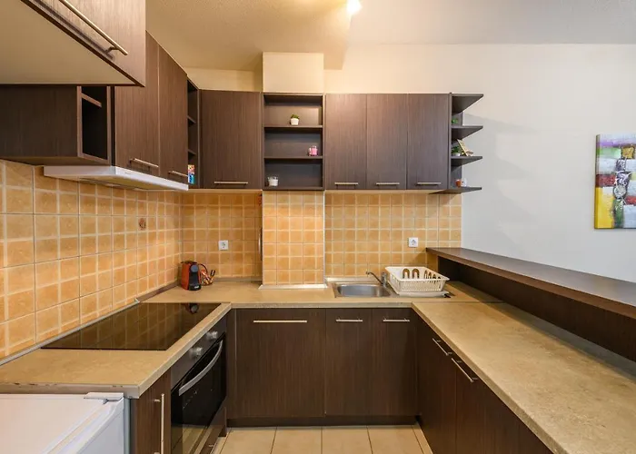 公寓 Lux D&n Svilajnac